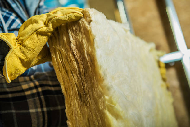 Best Insulation Installation Services in Sandusky, MI